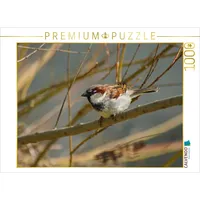 Calvendo Frecher Spatz 1000 Teile Puzzle quer