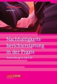 Nachhaltigkeitsberichterstattung In Der Praxis - Anwendung Im Dax 30 - Jochen Theis  Gebunden