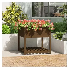 vidaXL Pflanzkübel mit Ablage 82 x 82 x 81 cm Honigbraun