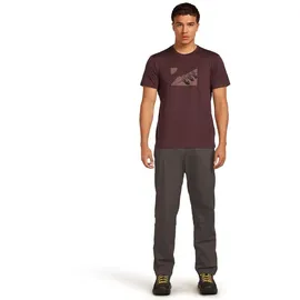 Icebreaker Merino 150 Tech Lite In The Wild Kurzarm-t-shirt - Java - S