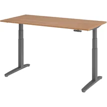 bümö Schreibtisch XBHM Nussbaum / Graphit