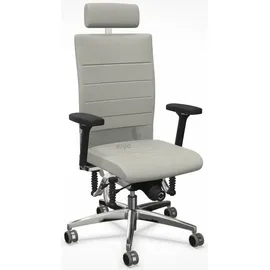 Haider Bioswing Bioswing 660 iQ Leder