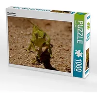 Calvendo Chamäleon Puzzle