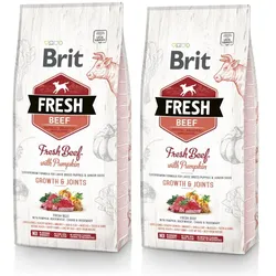 Brit Fresh Beef & Pumpkin Puppy Large Growth & Joints 2x12kg