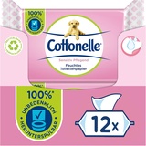 Cottonelle Feuchtes Toilettenpapier, Sensitive Pflegend - Parfümfrei, Biologisch Abbaubar, Plastikfrei, Wiederverschließbar, Vorteilspack, 12 x 42 Feuchttücher