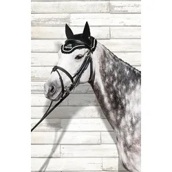 Equiline Outline Fliegenohren