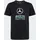adidas Unisex Kids Mercedes - AMG Petronas Formula 1 Team DNA Graphic Tee, Black, 11-12 Years