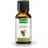 Kräuterhaus Sanct Bernhard Zirbenöl / Ätherisches Öl 30 ml