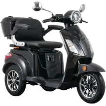 aktiv mobil E-Trike Pro Elektromobil 25 km/h schwarz