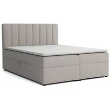 dein schlaf 24 Boxspringbett ROCK 160x200 Velour Schwarz H4 - Schwarz