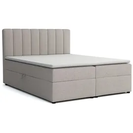 dein schlaf 24 Boxspringbett ROCK 160x200 Velour Schwarz H4 - Schwarz
