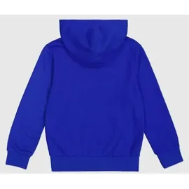Champion Hoodie Braun XL