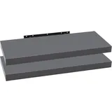 Woltu Bücherregal 60 x 22,9 x 3,8 cm Dunkelgrau