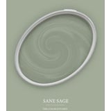 A.S. Création - Wandfarbe Grün "Sane Sage" 2,5L
