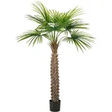 Creativ green Kunstpalme Fächerpalme, Creativ green, Höhe 175 cm, mit naturgetreuen Palmwedeln grün