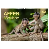 Calvendo Affen - Affenkinder (Wandkalender 2026 DIN A3 quer),