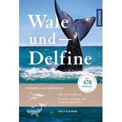 Wale und Delfine