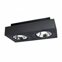 Spectrum LED Mirora GU10 AR111 2 fach Deckenleuchte schwarz
