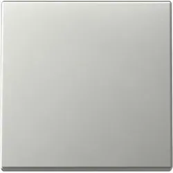 GIRA Wippe 3296600 edelstahl - neue Generation