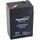 Perel Bleiakku 6 V 4500 mAh 1 St.