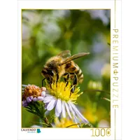 Calvendo Biene auf Marguerite 1000 Teile Puzzle hoch |