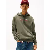 Tommy Hilfiger Tommy Jeans Herren Hoodie Regular Fit, Grün (Pewter Green), M
