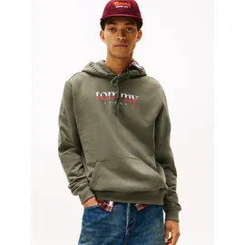 Tommy Hilfiger Tommy Jeans Herren Hoodie Regular Fit, Grün (Pewter Green), M