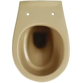 Sanicomfort Wand-WC Beige Spülrandlos, Tiefspüler, ohne WC-Sitz