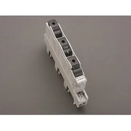 Wöhner Reiter-Sicherungs-Schalter 31232