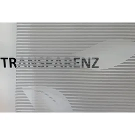 HOME WOHNIDEEN 91515 Magnetrollo RANA Ausbrenner Bambus, Ranken-Motiv, Fensterhaken, Farbe:grau, Größe:210 x 70 cm, Anzahl:1