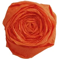 Clairefontaine Krepppapier 10 Bögen 2 x 0,5 m orange