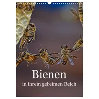 Calvendo Bienen in ihrem geheimen Reich (Wandkalender 2026 DIN