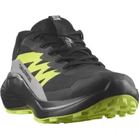 Salomon Herren Alphaglide GTX schwarz 43.3