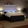 vidaXL Boxspringbett 180 x 200 cm Schwarz
