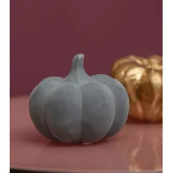 Kürbis Koba flach grau 9cm