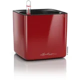 LECHUZA Cube Glossy 14 Komplettset 14 x 14 x 13,5 cm scarlet rot highgloss