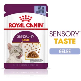 Royal Canin SENSORY Taste in Gelee für wählerische Katzen 12x85g