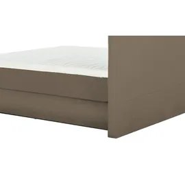 Wohnwert Dormian Bolge High 160 x 122 cm Beige
