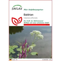 SAFLAX - Baldrian - 200 Samen