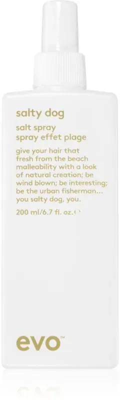 EVO Style Salty Dog salziges Spray für das Haar 200 ml