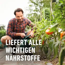 Compo Bio Tomatendünger 1 l