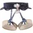 Petzl Klettergurt grau