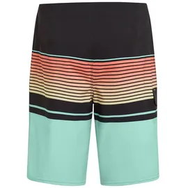O'Neill Lennox Stripe 21 Badeshorts Blau 30