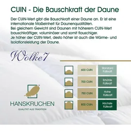 HANSKRUCHEN Hanskruchen, Wolke 7 (320 g, 155 x 220 cm - Weiß