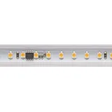 Sigor Sigor, LED Streifen, 5968401LEDStripsRolle 230V, IP65, 25m