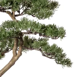 CREATIV green künstliche Pflanze Bonsai Zeder ca 90x40cm, im Kunststofftopf 17,5x16,5cm, schwarz