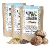 Kerniges LOWER-CARB-BROTBACKMISCHUNG 3x450g – Bio, vegan, glutenfrei, Saatenbrot, proteinreiches Brot, Lebensmittel ohne Getreide, Organic Workout