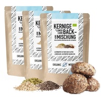 Kerniges LOWER-CARB-BROTBACKMISCHUNG 3x450g – Bio, vegan, glutenfrei, Saatenbrot, proteinreiches Brot, Lebensmittel ohne Getreide, Organic Workout