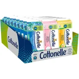 Cottonelle Feuchtes Toilettenpapier Mix-Display 27 St., 3 Sorten Toilettentücher