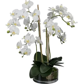fuchs versand 24/7 Kunstblume Phalaenopsis im Glas, 50 cm, weiß, Gasper
